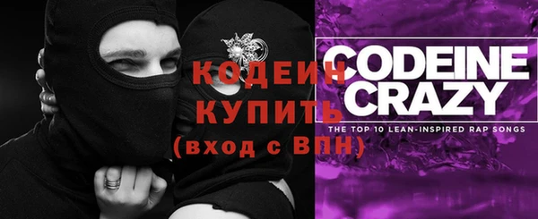 прущие грибы Беломорск