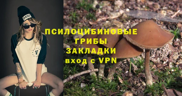 соль курить ск Богданович
