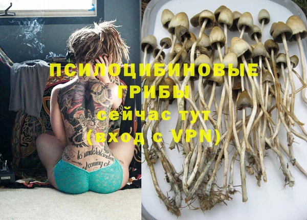 MDMA Богородицк