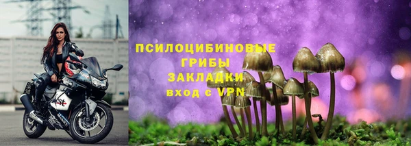 PSILOCYBIN Белоозёрский